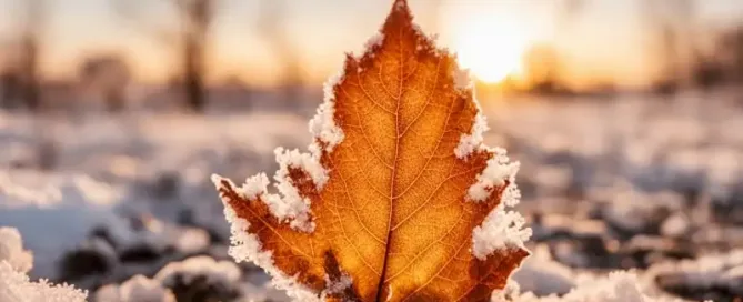 Autumn Clear Outs